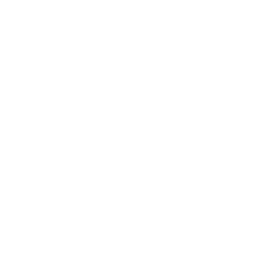 Icon 5